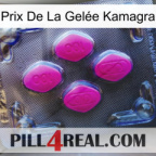Prix De La Gelée Kamagra 02